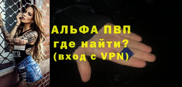 индика Няндома