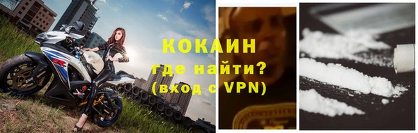 трава Осинники
