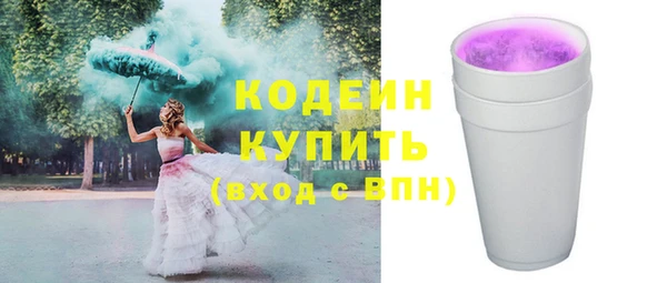 индика Няндома