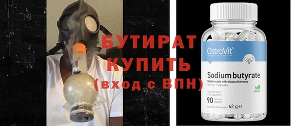 индика Няндома