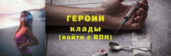 индика Няндома