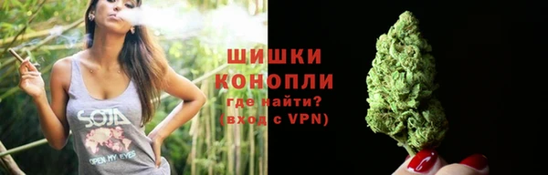 индика Няндома