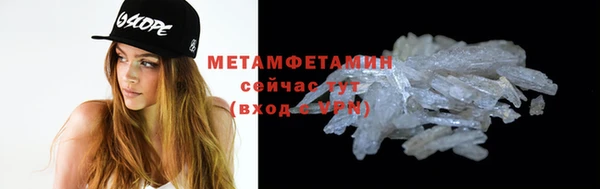 индика Няндома