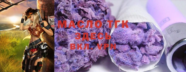 индика Няндома