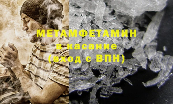 индика Няндома