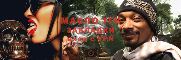 индика Няндома