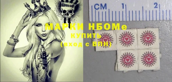 индика Няндома