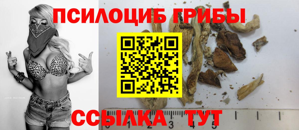 Псилоцибиновые грибы Magic Shrooms  купить наркотики сайты  Вход с VPN  Электрогорск  Галлюциногенные грибы Psilocybe 